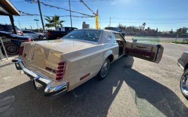 Lincoln-Mark-v-1979-yellow-182778-14