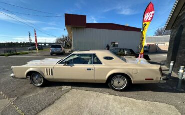 Lincoln-Mark-v-1979-yellow-182778-8