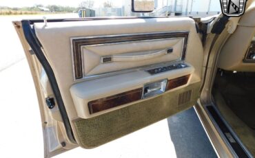 Lincoln-Town-Car-1978-Beige-Beige-108740-6