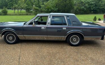 Lincoln-Town-car-1984-grey-39268-1