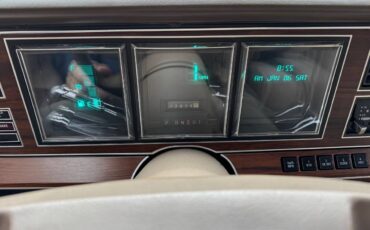 Lincoln-Town-car-signature-tournament-edition-1988-brown-124545-13