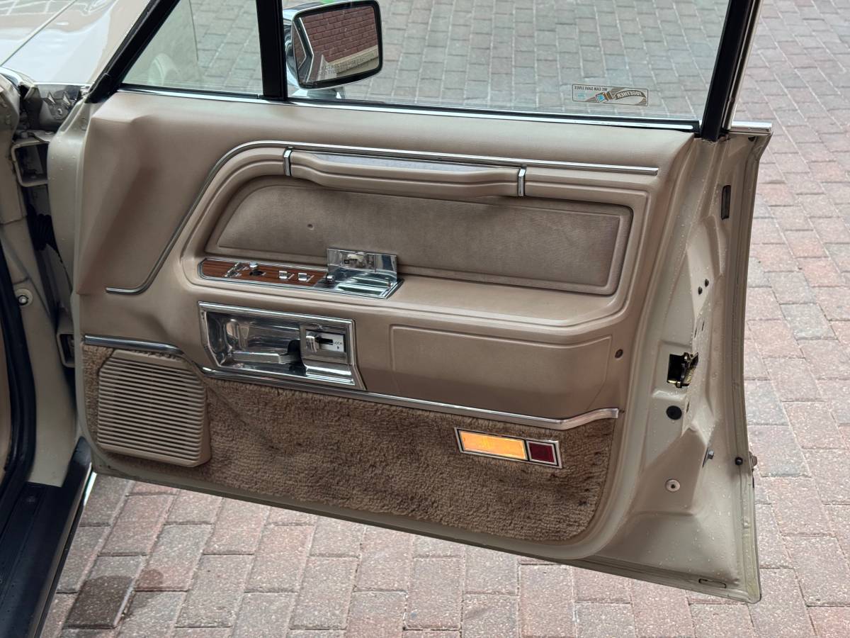 Lincoln-Town-car-signature-tournament-edition-1988-brown-124545-18