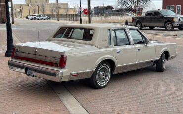 Lincoln-Town-car-signature-tournament-edition-1988-brown-124545-4