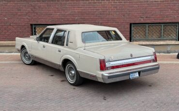 Lincoln-Town-car-signature-tournament-edition-1988-brown-124545-6