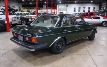 Mercedes-Benz-200-Series-Berline-1983-Green-Beige-258435-7