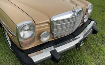 Mercedes-Benz-200-Series-Coupe-1976-Brown-Tan-40527-15