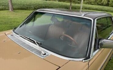 Mercedes-Benz-200-Series-Coupe-1976-Brown-Tan-40527-16