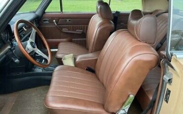 Mercedes-Benz-200-Series-Coupe-1976-Brown-Tan-40527-18