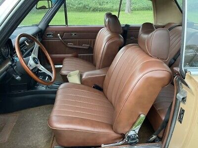 Mercedes-Benz-200-Series-Coupe-1976-Brown-Tan-40527-18