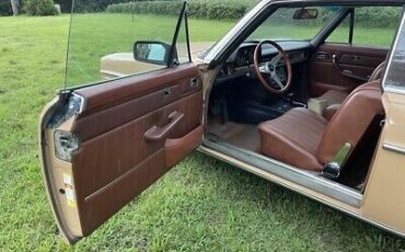 Mercedes-Benz-200-Series-Coupe-1976-Brown-Tan-40527-19