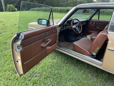 Mercedes-Benz-200-Series-Coupe-1976-Brown-Tan-40527-19