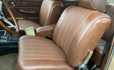 Mercedes-Benz-200-Series-Coupe-1976-Brown-Tan-40527-23