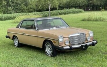 Mercedes-Benz-200-Series-Coupe-1976-Brown-Tan-40527-5