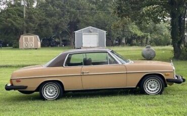 Mercedes-Benz-200-Series-Coupe-1976-Brown-Tan-40527-6