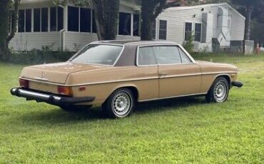 Mercedes-Benz-200-Series-Coupe-1976-Brown-Tan-40527-7