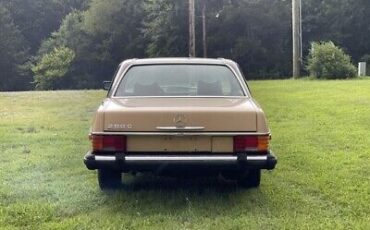 Mercedes-Benz-200-Series-Coupe-1976-Brown-Tan-40527-8