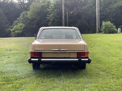 Mercedes-Benz-200-Series-Coupe-1976-Brown-Tan-40527-8