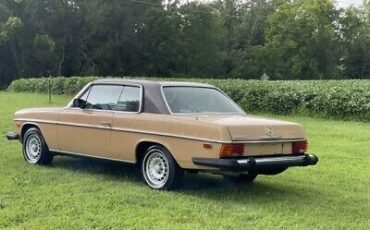 Mercedes-Benz-200-Series-Coupe-1976-Brown-Tan-40527-9