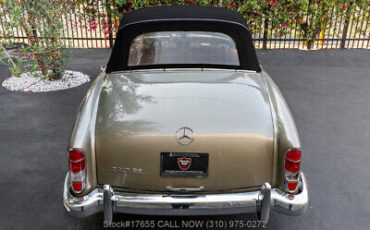 Mercedes-Benz-220SE-1960-Brown-Other-Color-0-10