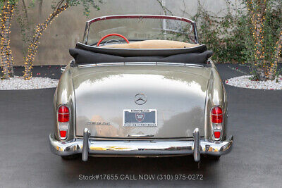 Mercedes-Benz-220SE-1960-Brown-Other-Color-0-5