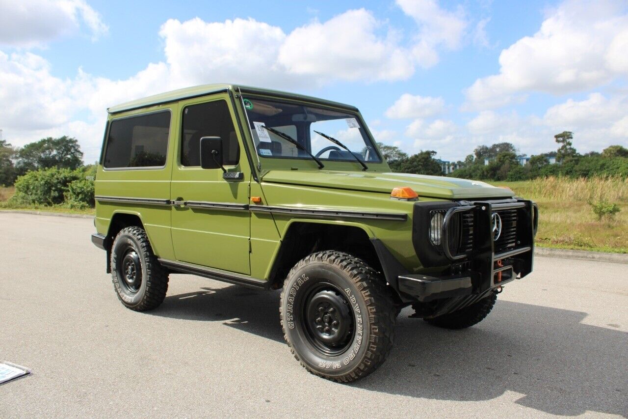 Mercedes-Benz-300-GD-Cabriolet-1982-Green-Brown-15044-10