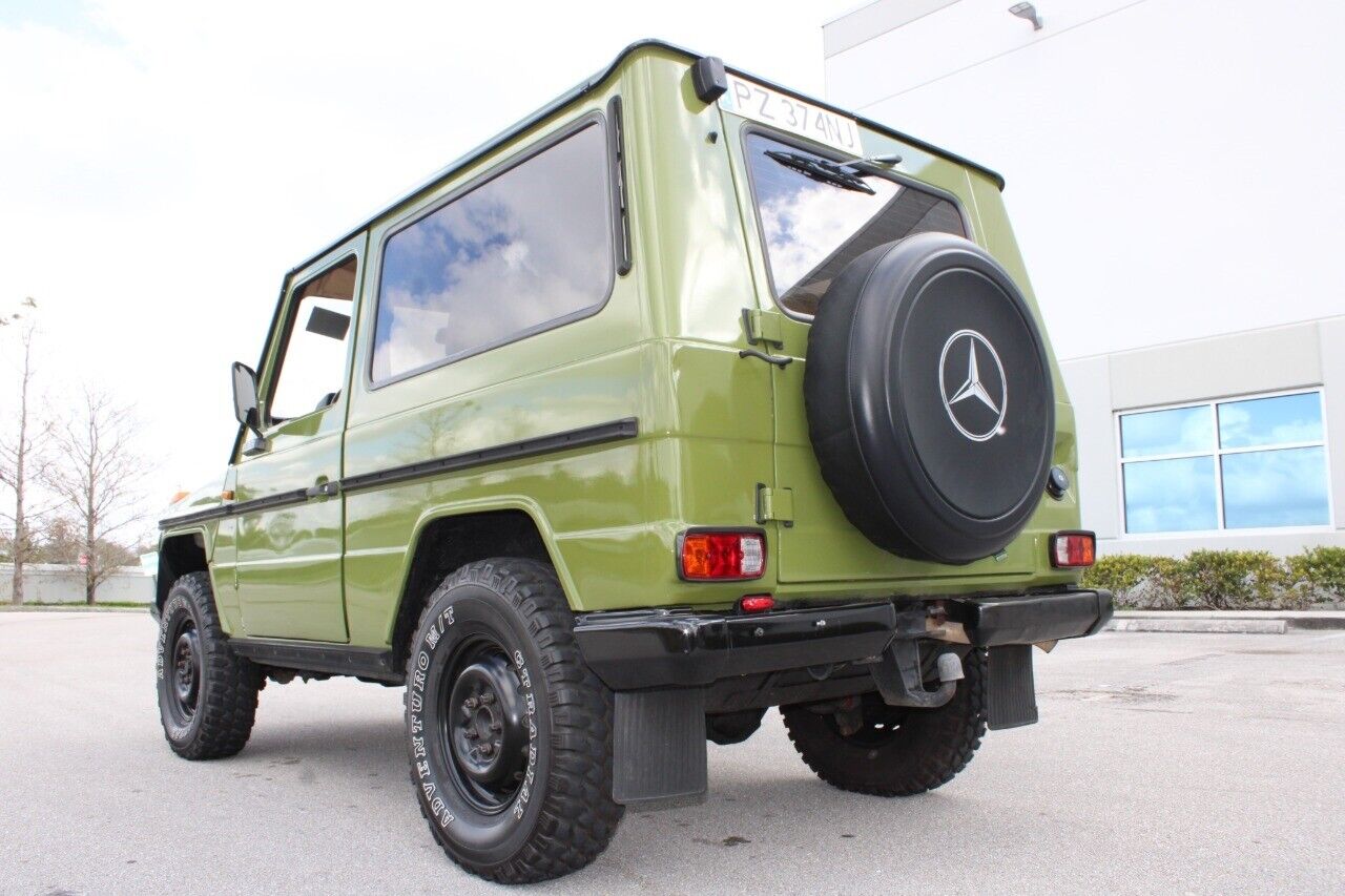 Mercedes-Benz-300-GD-Cabriolet-1982-Green-Brown-15044-4