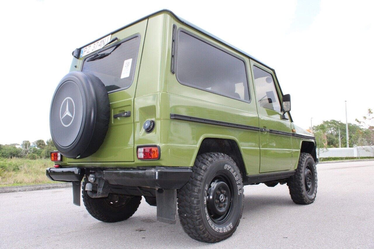 Mercedes-Benz-300-GD-Cabriolet-1982-Green-Brown-15044-5