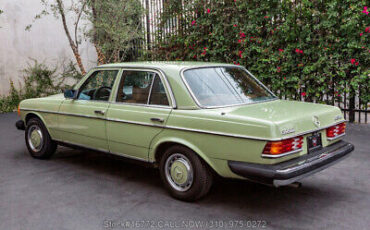 Mercedes-Benz-300-Series-1977-Green-Other-Color-0-6