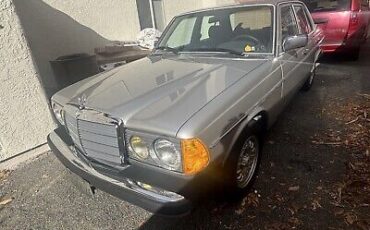 Mercedes-Benz-300-Series-1982-Grey-191156-1