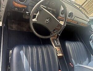 Mercedes-Benz-300-Series-1982-Grey-191156-12