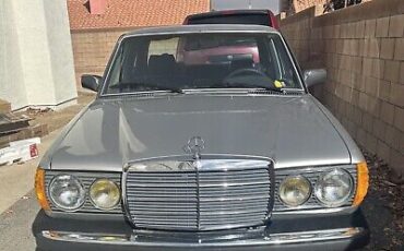 Mercedes-Benz-300-Series-1982-Grey-191156-2