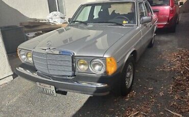 Mercedes-Benz-300-Series-1982-Grey-191156-3