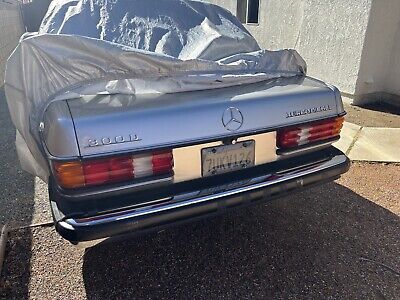 Mercedes-Benz-300-Series-1982-Grey-191156-9