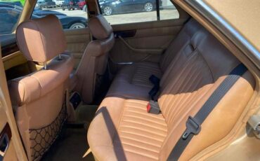 Mercedes-Benz-300-Series-1984-Gold-Tan-0-11