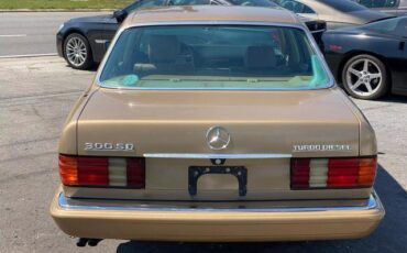 Mercedes-Benz-300-Series-1984-Gold-Tan-0-4