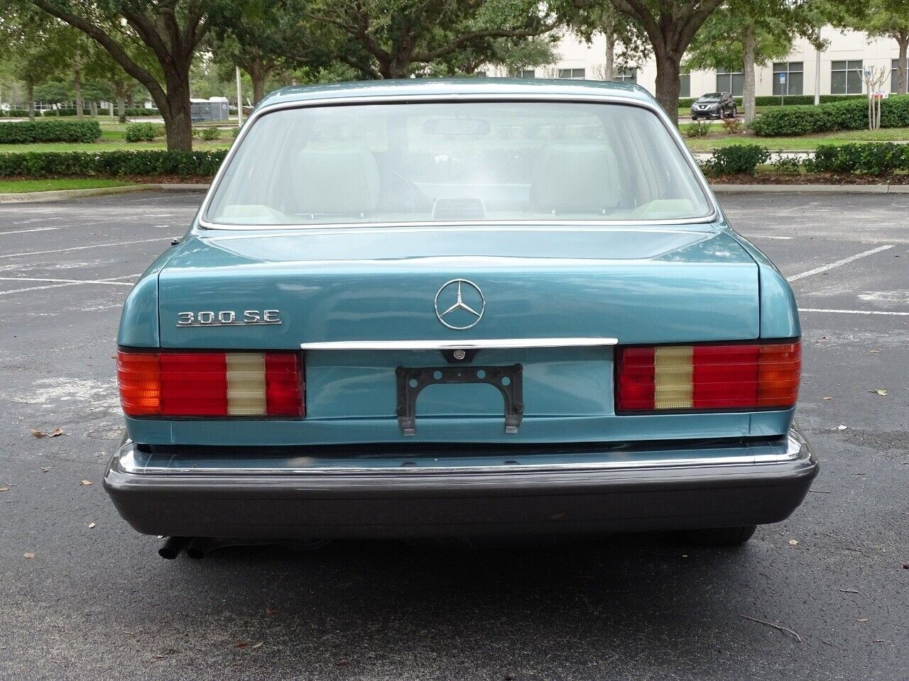 Mercedes-Benz-300-Series-1991-Blue-Tan-378791-6