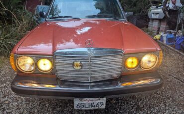 Mercedes-Benz-300-Series-Berline-1980-345962-1