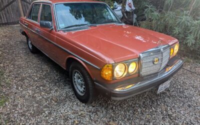 Mercedes-Benz 300-Series Berline 1980 à vendre