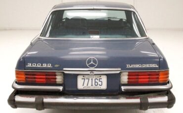 Mercedes-Benz-300-Series-Berline-1980-Blue-Blue-426388-3