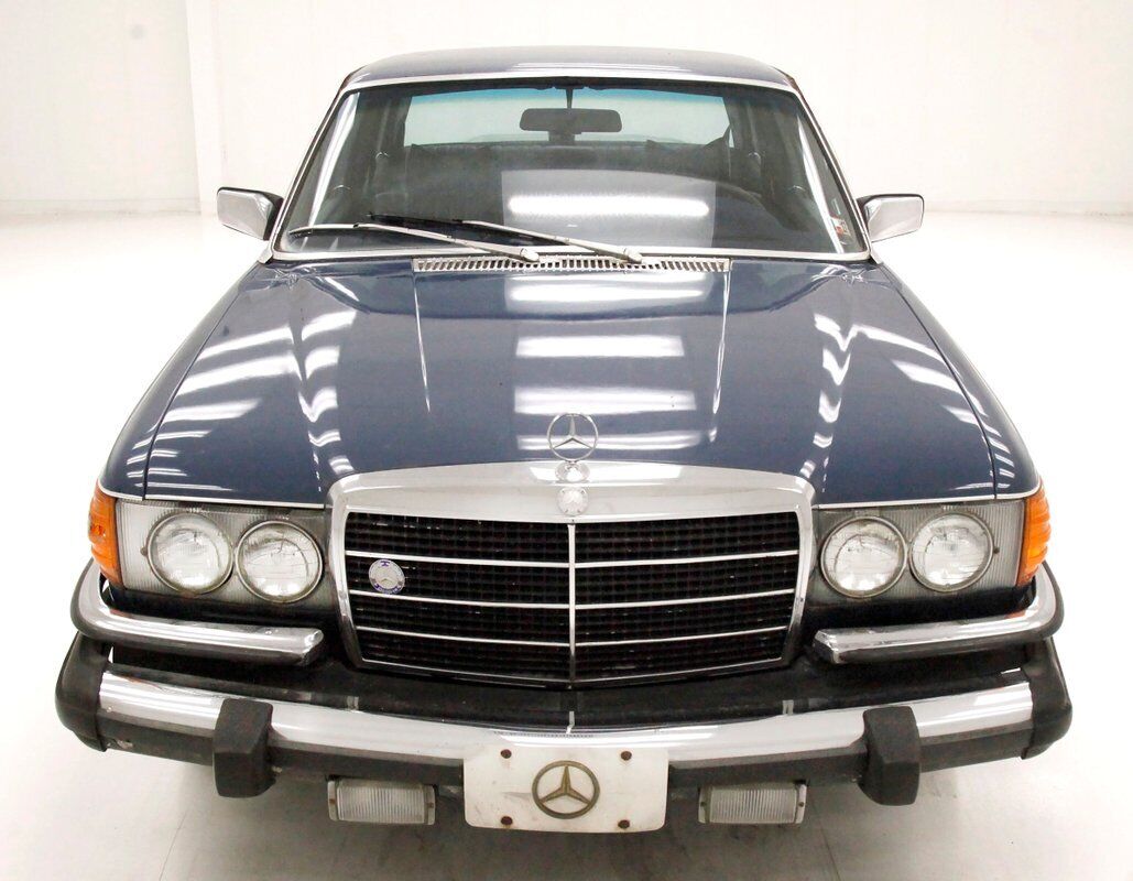 Mercedes-Benz-300-Series-Berline-1980-Blue-Blue-426388-6