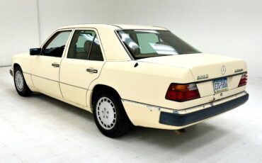 Mercedes-Benz-300-Series-Berline-1993-Light-Ivory-Saddle-394716-2