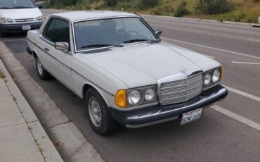 Mercedes-Benz-300-Series-Coupe-1978-Gray-Black-142070-14