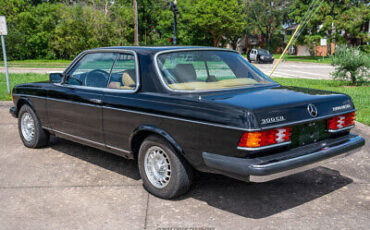 Mercedes-Benz-300-Series-Coupe-1982-Black-Tan-153063-5