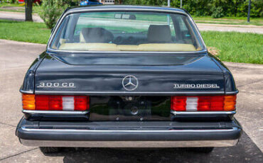 Mercedes-Benz-300-Series-Coupe-1982-Black-Tan-153063-6