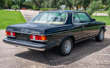 Mercedes-Benz-300-Series-Coupe-1982-Black-Tan-153063-7