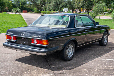 Mercedes-Benz-300-Series-Coupe-1982-Black-Tan-153063-7