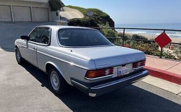 Mercedes-Benz-300-Series-Coupe-1982-Grey-137921-18