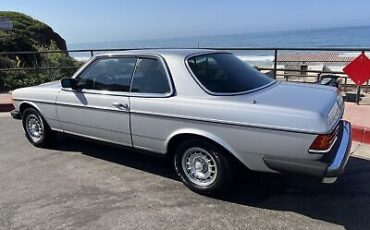 Mercedes-Benz-300-Series-Coupe-1982-Grey-137921-7