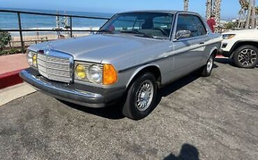 Mercedes-Benz-300-Series-Coupe-1982-Grey-137921-9