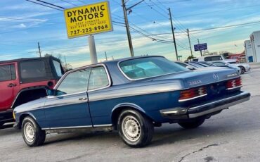 Mercedes-Benz-300-Series-Coupe-1984-Blue-Tan-183922-3